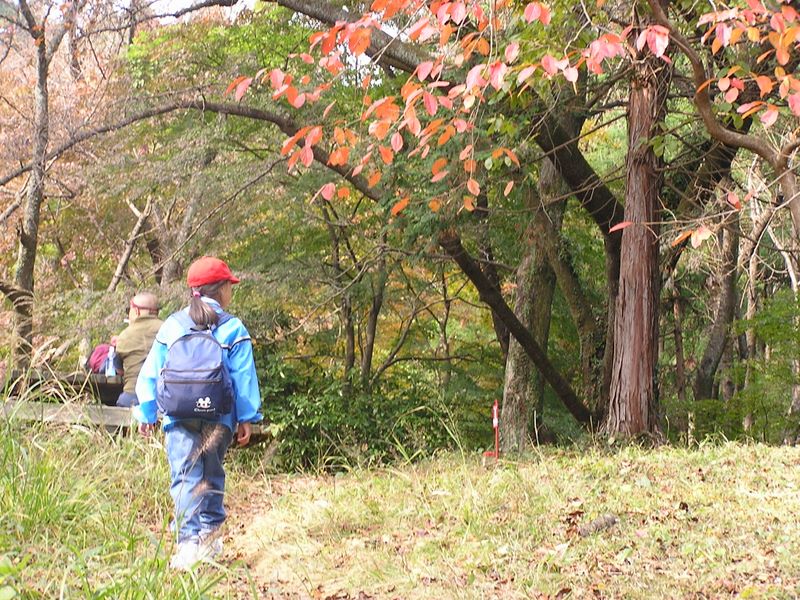 高尾山から城山 -- これから真っ赤に染まるのでしょう