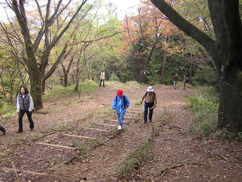 高尾山から城山 -- 広々としたところが尾根の各所にあります