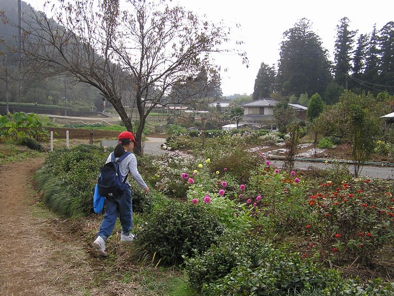 高尾山から城山 -- 道草
