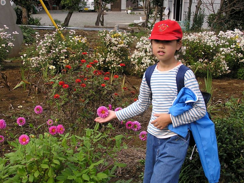 高尾山から城山 -- 触れたくなるような花