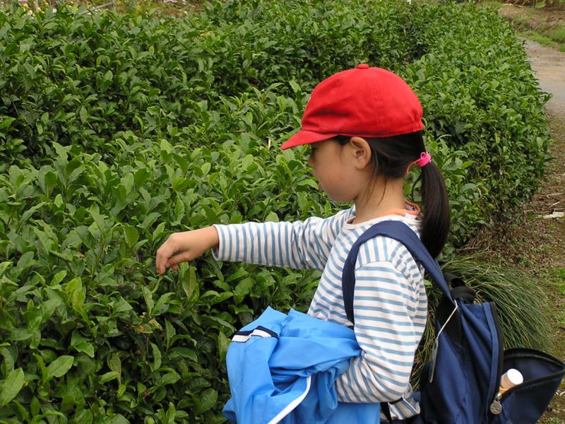 高尾山から城山 -- JR相模湖駅まで約20分ほどです
