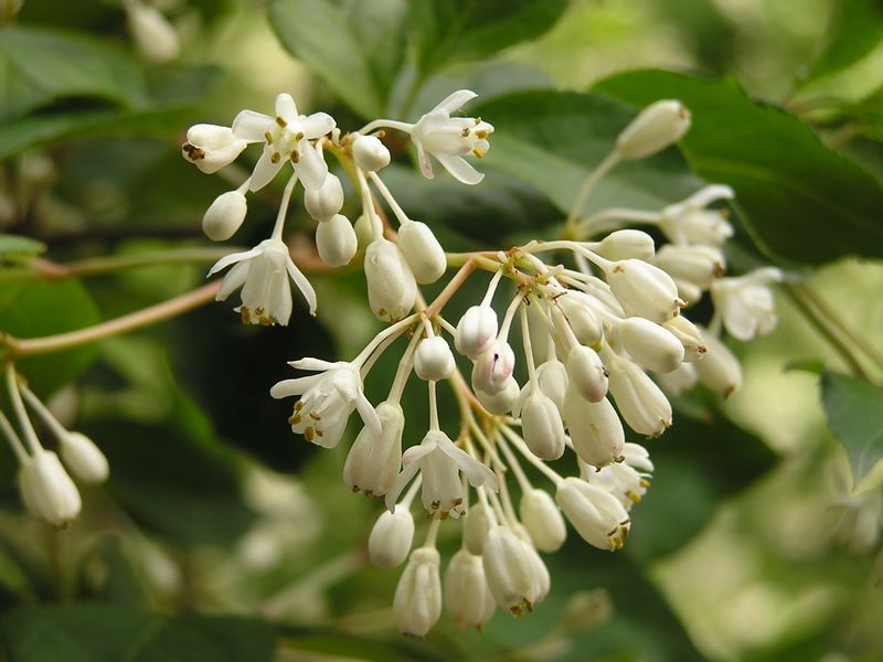 城山湖 -- 名前を調べています