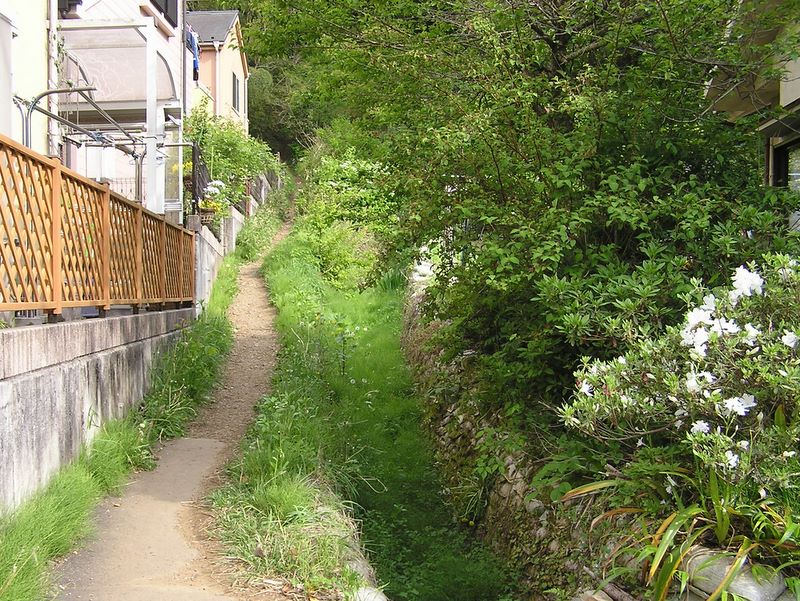 城山湖 -- 登山道終点で、下りて来た道を振り返る