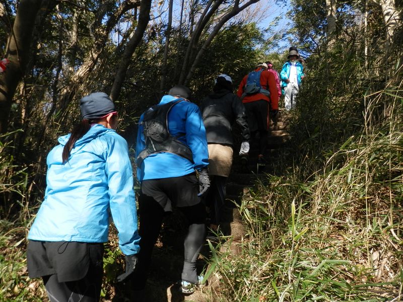 「鎌倉アルプス、トレイルラン大会」の走者たち