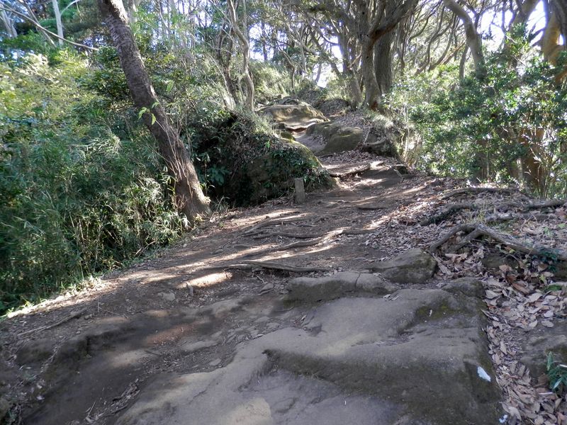 鎌倉アルプス・獅子舞 -- 岩の角が丸くなっている