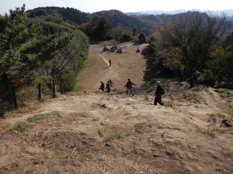 大平山より、天園を望む