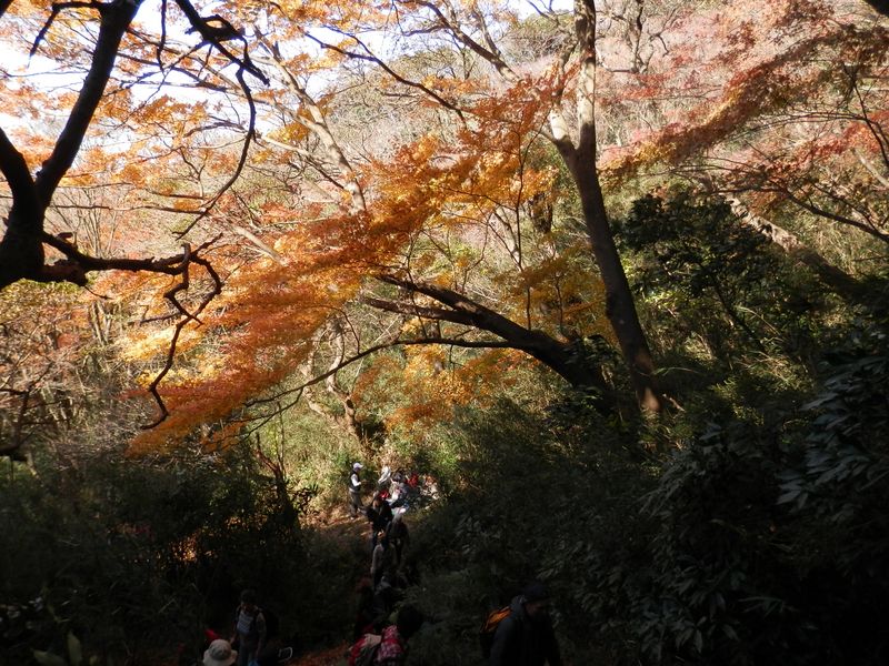 これより獅子舞の谷