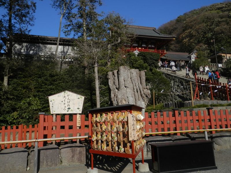 "がんばれ大イチョウ"