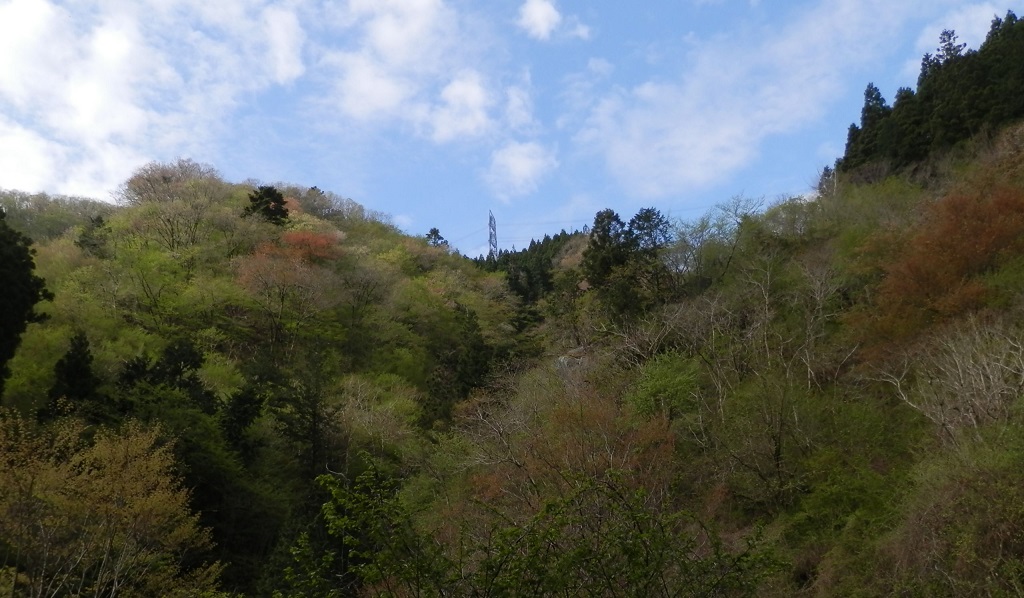 大丹波林道より、真名井北稜を望む。（１）