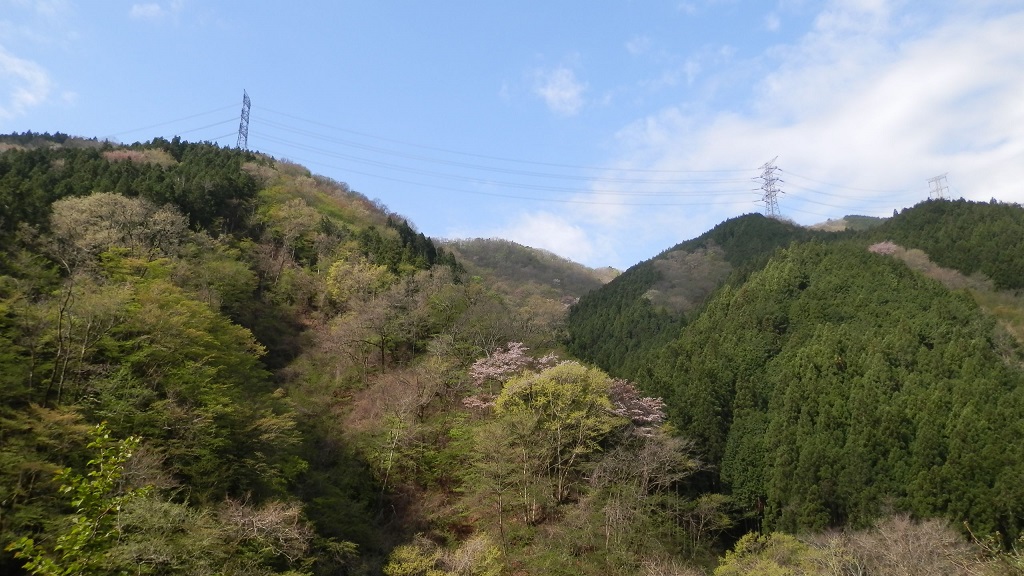 大丹波林道より、真名井北稜を望む。（２）