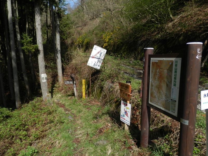 ここで林道を外れて、沢沿いの道に降りる