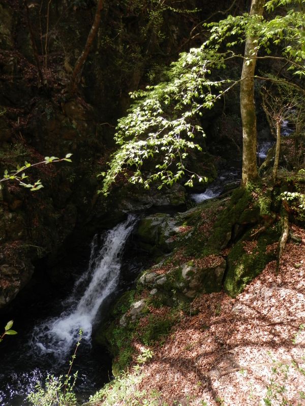 ミニ滝がいくつもある