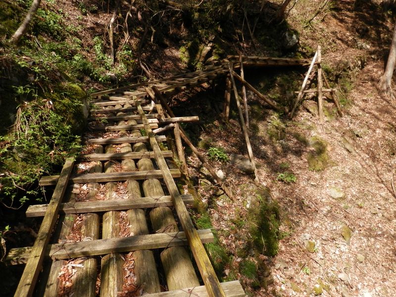 桟道の平均寿命はどのくらいなのだろう？