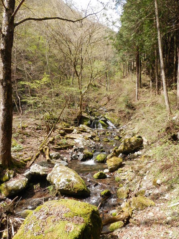 一山越えて、再び沢沿いに降りる