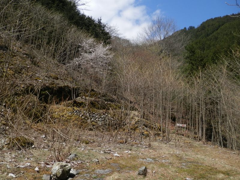 獅子口小屋跡に到着
