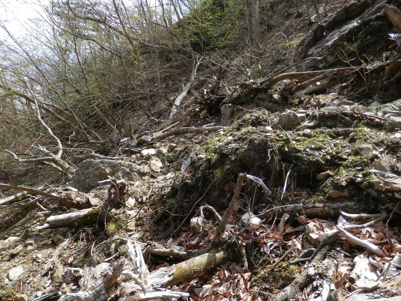 上から何か落ちてくるかもしれない