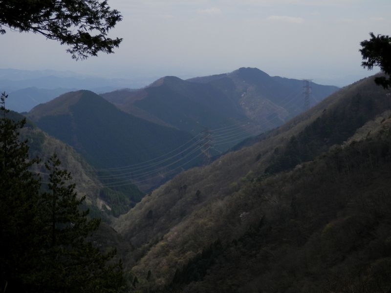 長尾ノ丸、槇ノ尾山、棒ノ折山