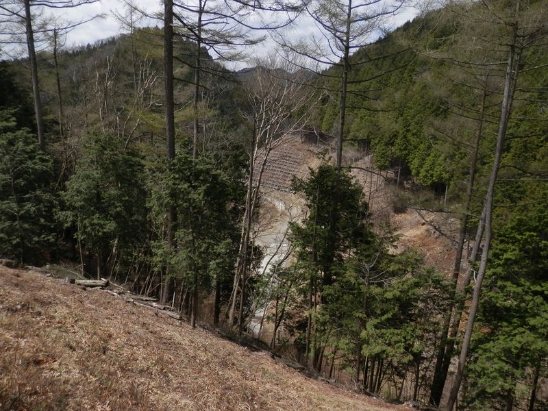 川乗林道には車が来ていた