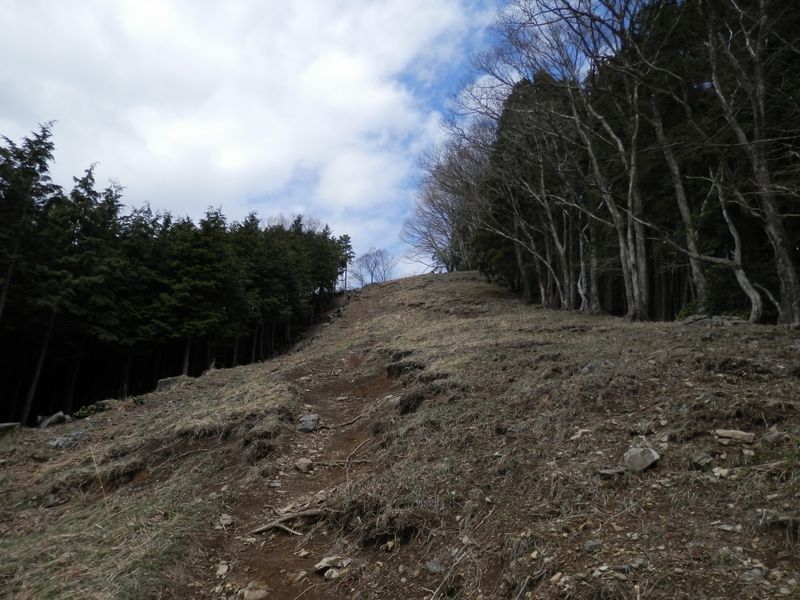 もう少しだ、頑張ろう！