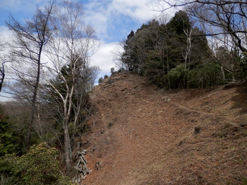 日向沢ノ峰の青い標識が見える