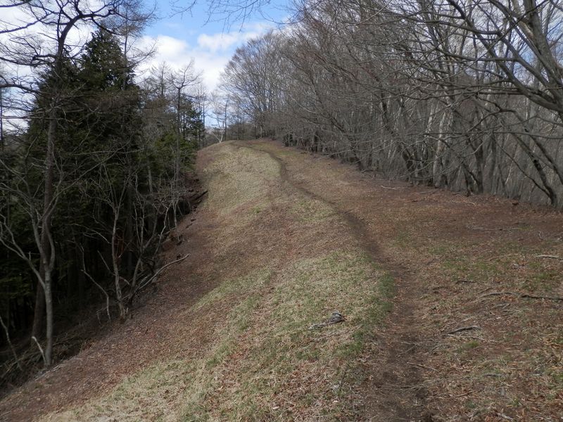 遊歩道のような道を足取り軽く