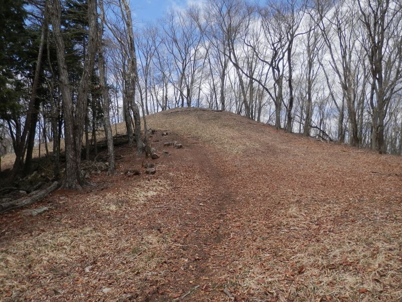 1370m台のピーク