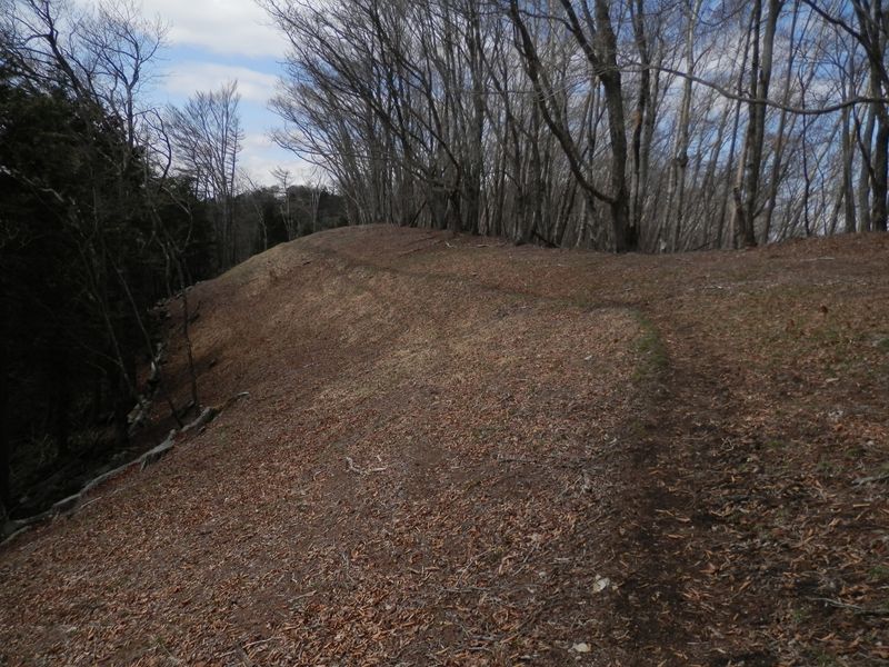 p4228745.jpg (large)