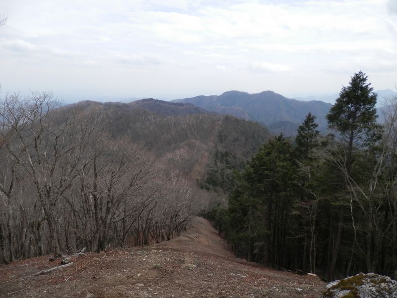 川苔山（右）と日向沢ノ峰を望む