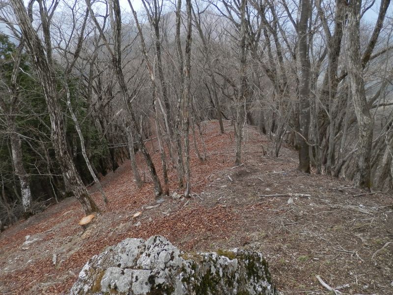 鳥屋戸尾根は、川乗橋へ続く