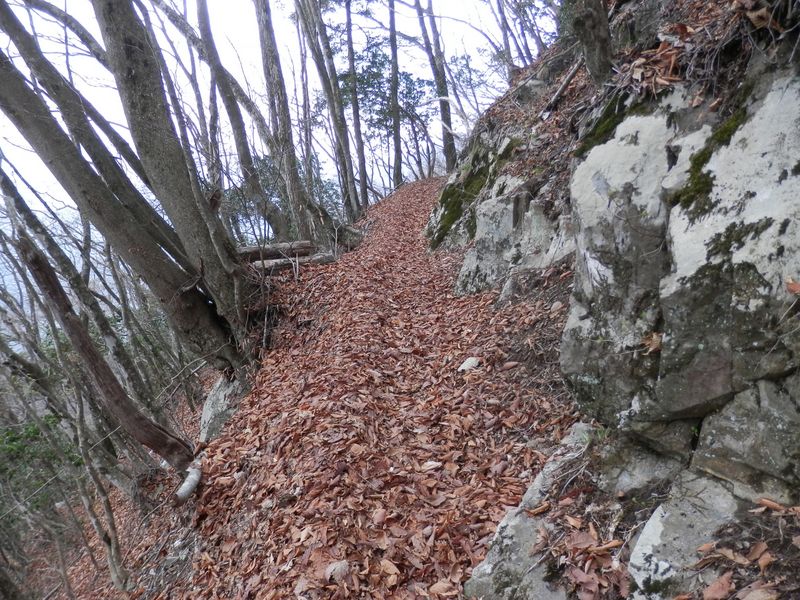 道が狭くて、落ち葉が多かった