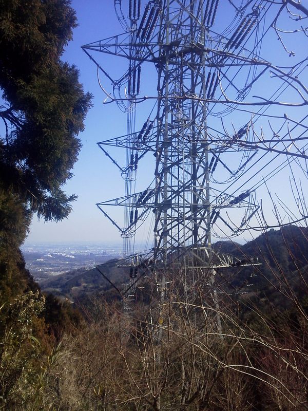 秦浜線10号の向こうに伊勢原市街地