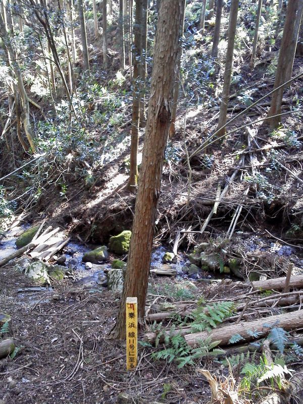 「秦浜線11号に至る」を見て、小沢を渡る