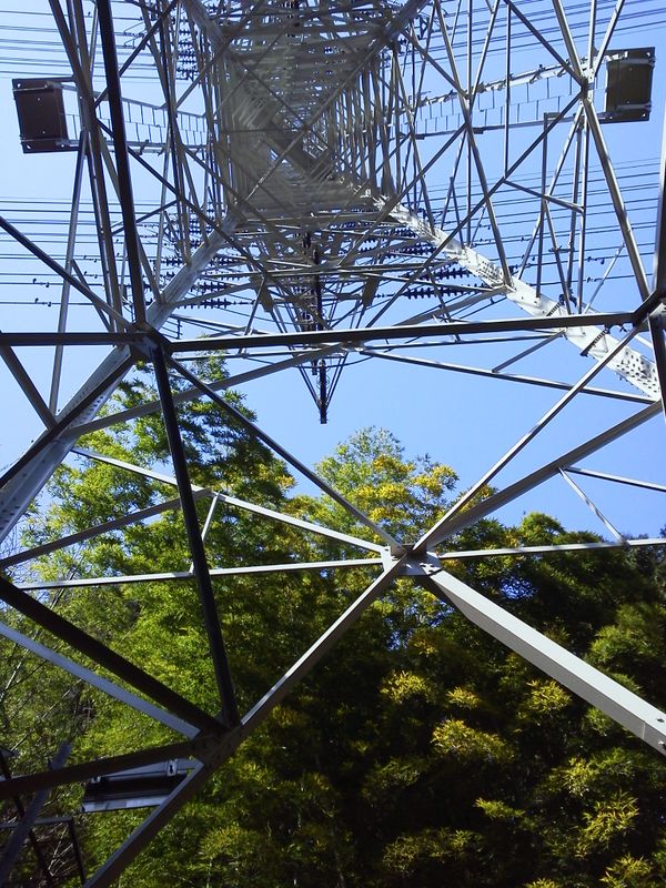 秦浜線12号を見上げる