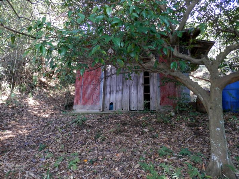 みかん農家の作業小屋