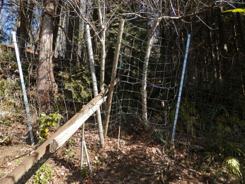 柵の下の穴をくぐる