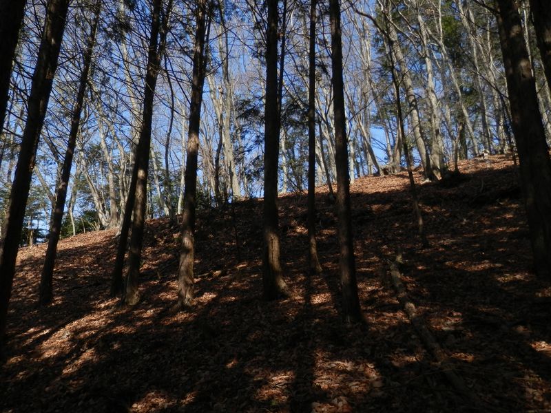 明るい尾根がある