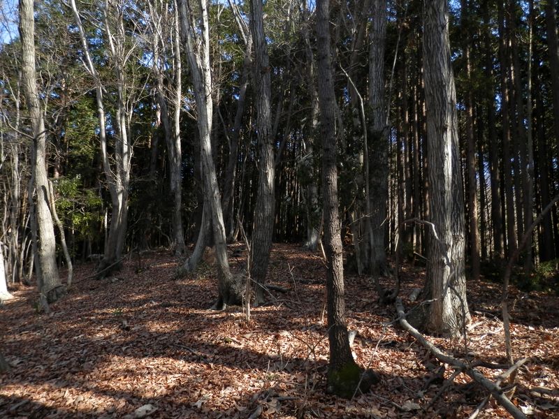 いい感じの尾根