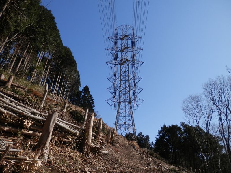 秦浜線7号鉄塔。