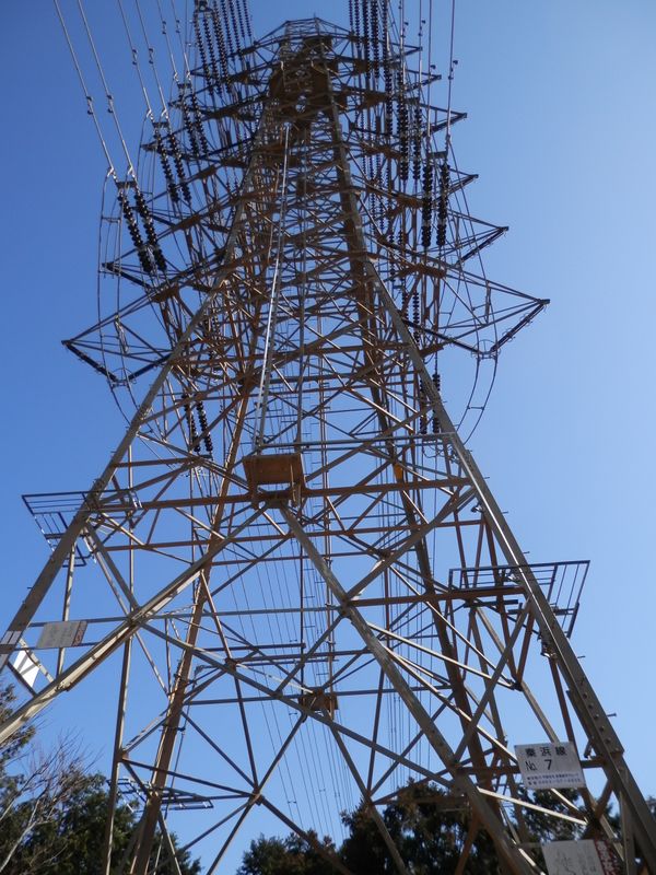 秦浜線７号を見上げる