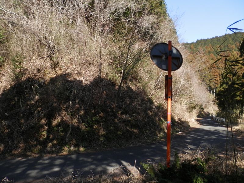 浅間山林道に飛び出す