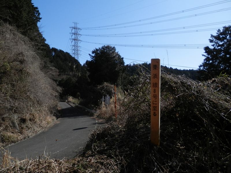 この杭から右に下降した