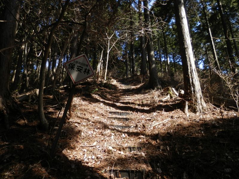 秦浜線9号への巡視路