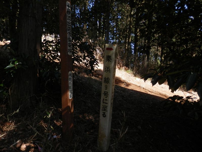 ハイキングコースに出たら右折