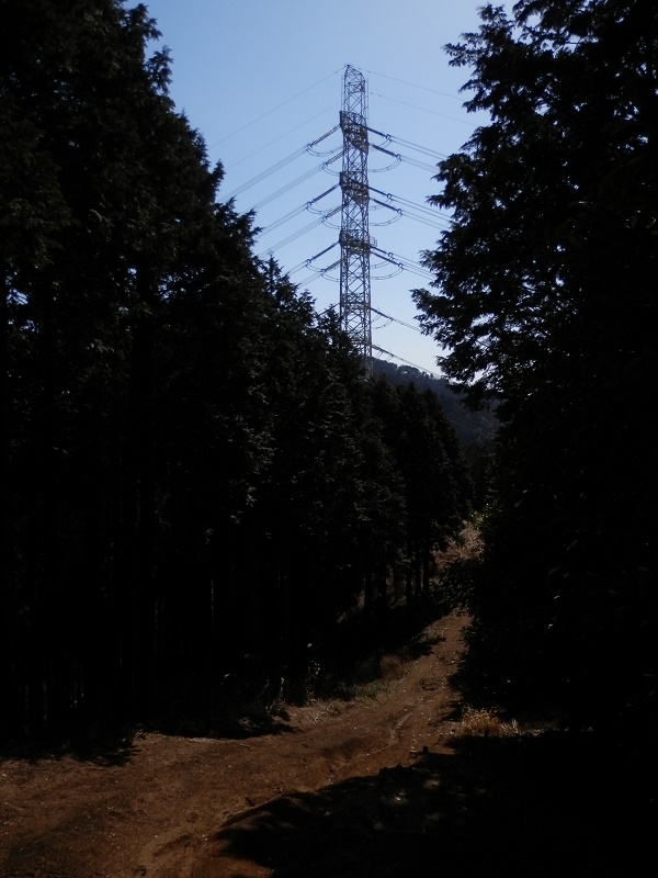 イヨリ峠付近に立つ秦浜線9号