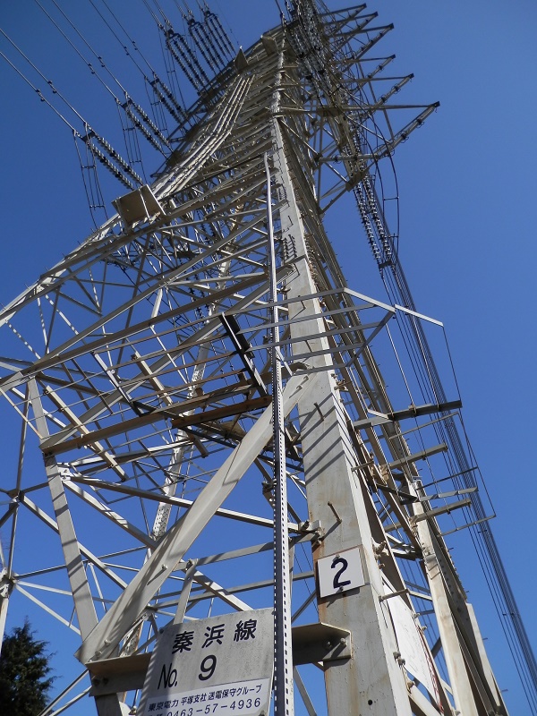 秦浜線9号を見上げる