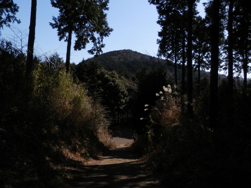 行く手に浅間山林道と高取山
