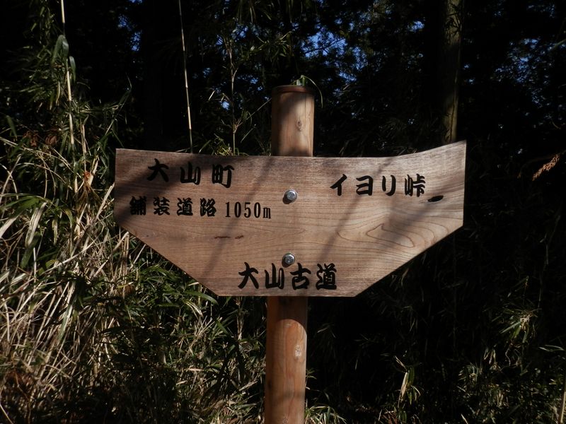 イヨリ峠には行かず、左に進む