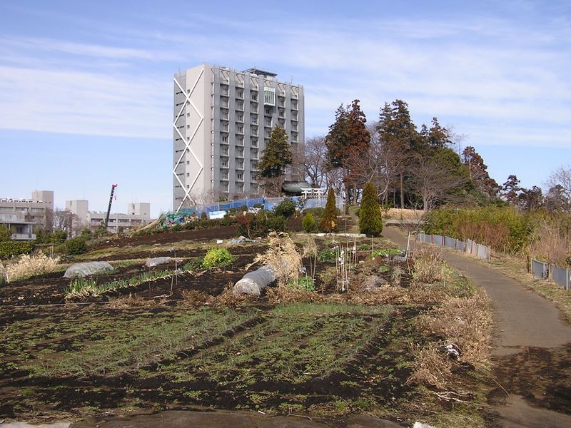 p3035785.jpg (large)