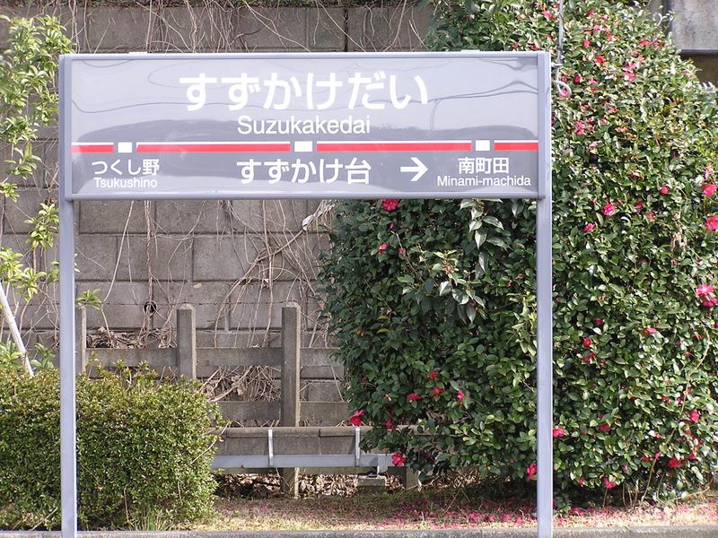 すずかけ台駅に戻る