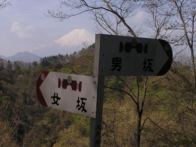 高川山･九鬼山 -- 男坂を合わせる
